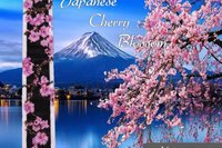 Even Peyote bracelet Pattern "JAPANESE CHERRY BLOSSOM
